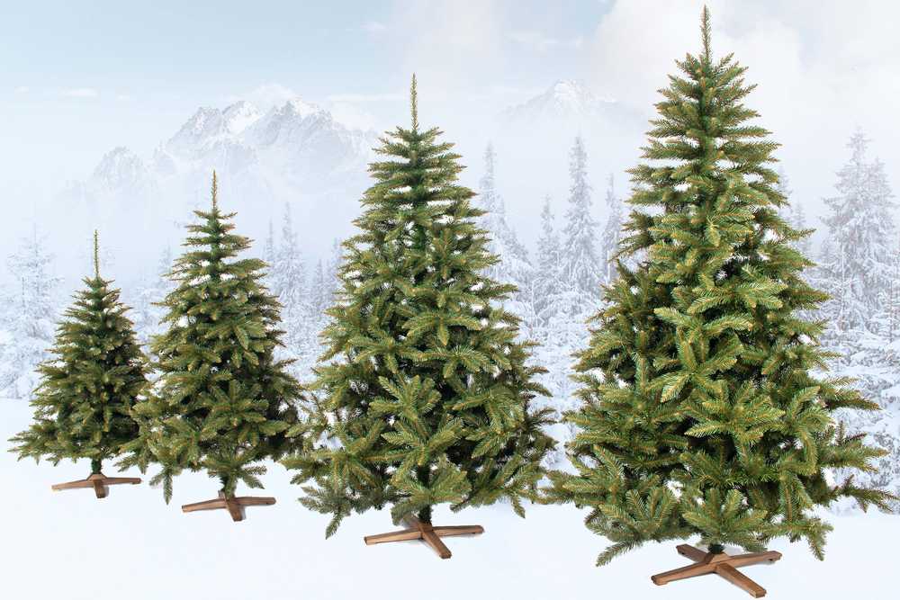 Dirbtinė Kalėdų eglutė Premium Royal Trees, Kaukazo eglė, su mediniu stovu Springos CT0186 180 cm