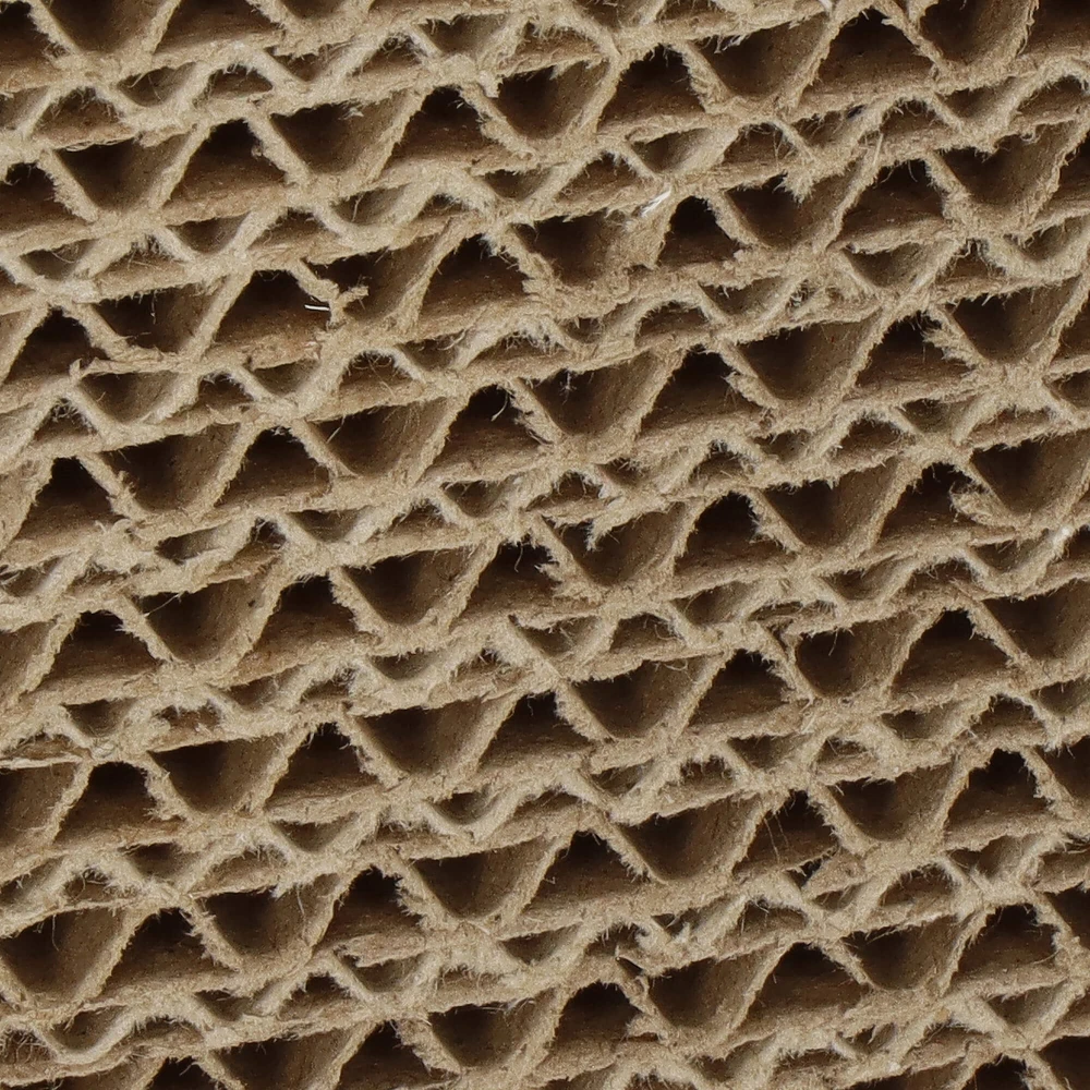 Springos Draskyklė katėms kartoninė