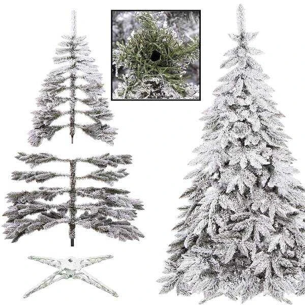 Kaukazo eglė su sniegu Springos 250 cm