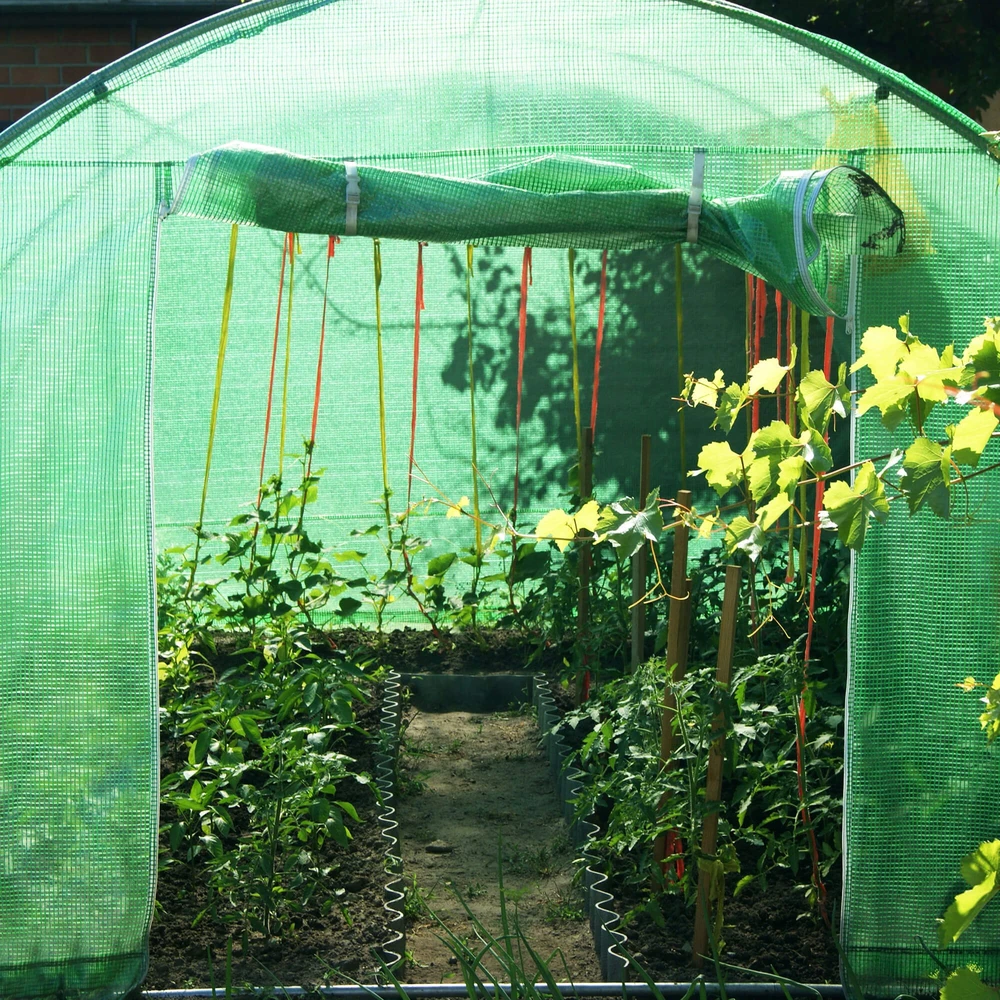 Sodo šiltnamio plėvelė Springos GT0002F 200x300 cm