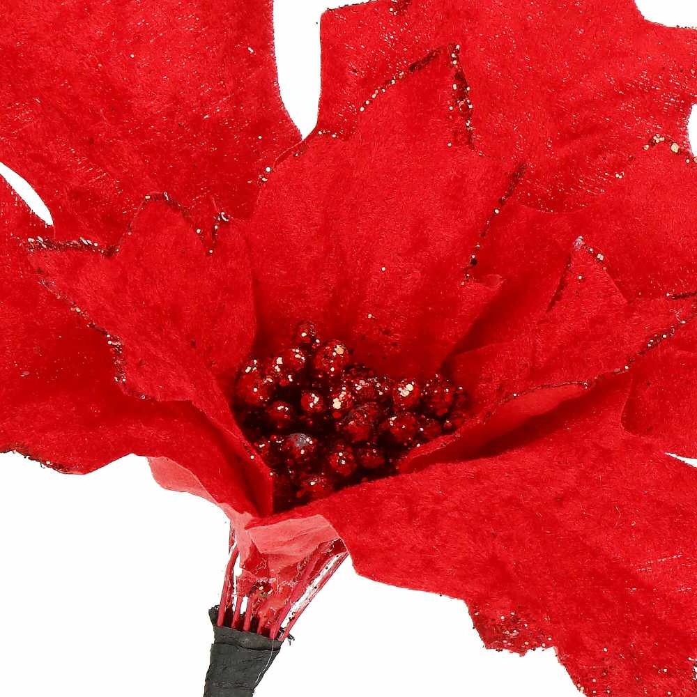 Springos CA0721 KALĖDŲ PUOMENYS "POINSETTIA"