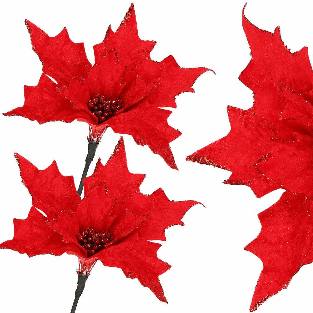 Springos CA0721 KALĖDŲ PUOMENYS "POINSETTIA"