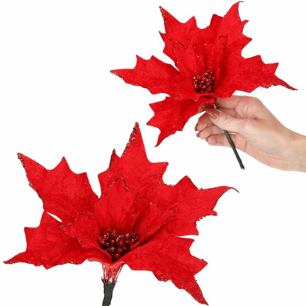 Springos CA0721 KALĖDŲ PUOMENYS "POINSETTIA"