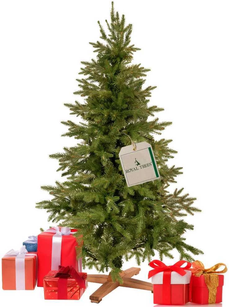 Springos Dirbtinė eglutė Royal Trees® Himalajų su mediniu stovu, 150 cm