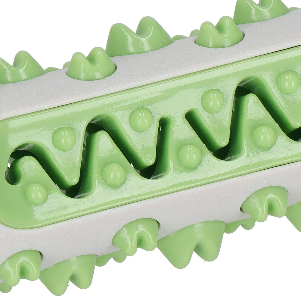 Šuns kramtomasis žaislas Springos PA1053