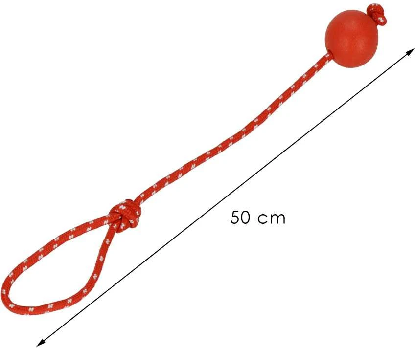 Springos šunų žaislas su virve ir kamuoliuku, 50 cm
