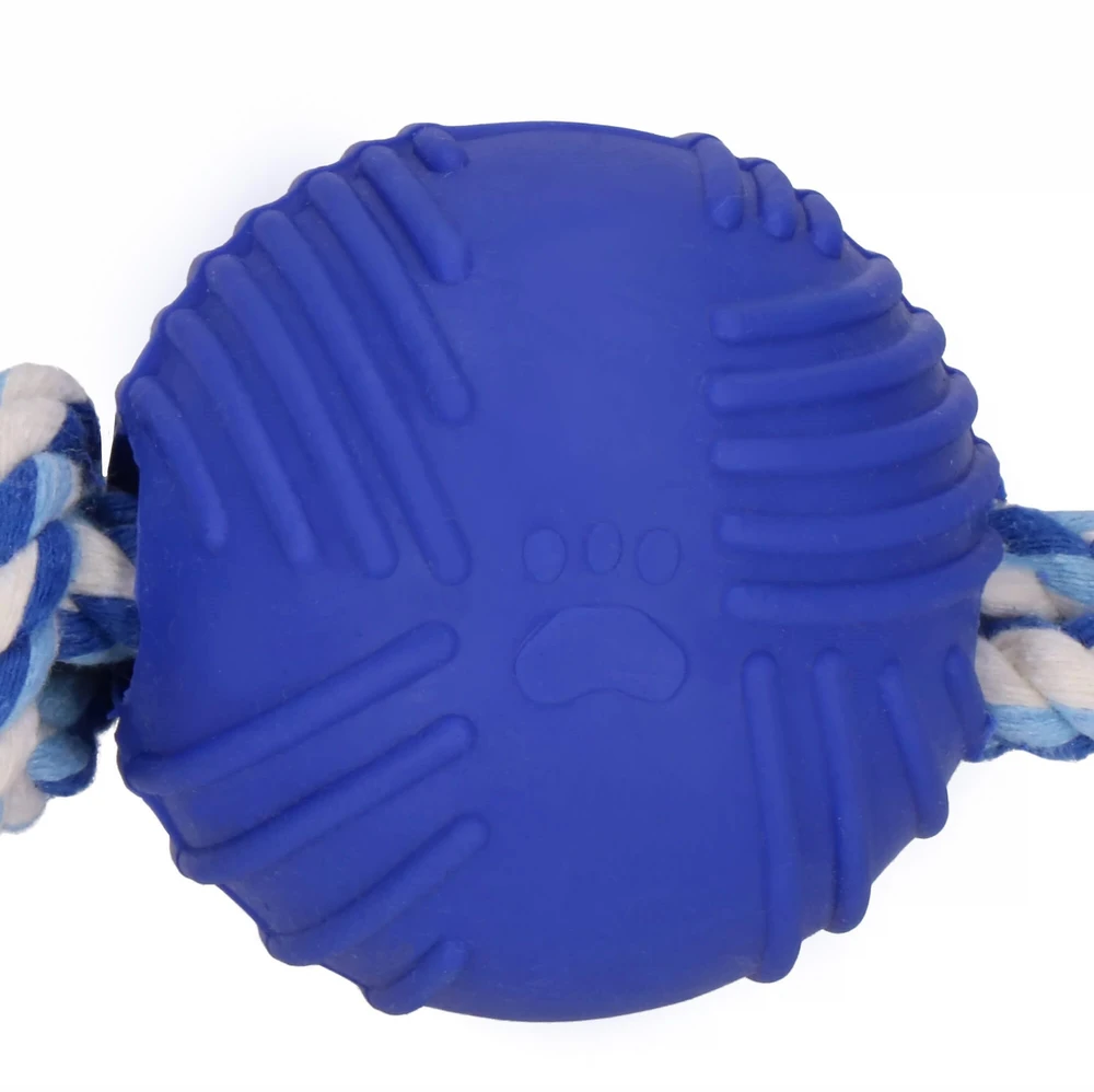 Šuns žaislas Springos 25 cm