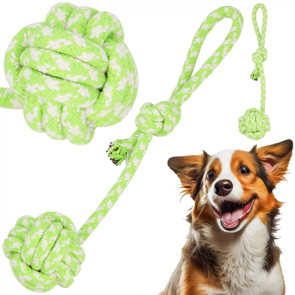 Žaislas šuniui Springos 38 cm