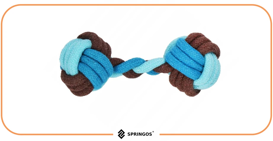 Žaislas šuniui Springos PA0282, 17 cm