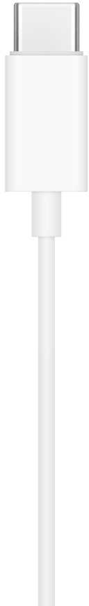 Ausinės Apple EarPods (USB-C)
