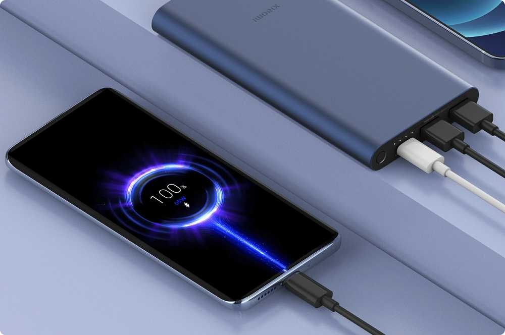 Nešiojamas įkroviklis Xiaomi PB100DPDZM 22.5W 10000 mAh, Mėlynos spalvos