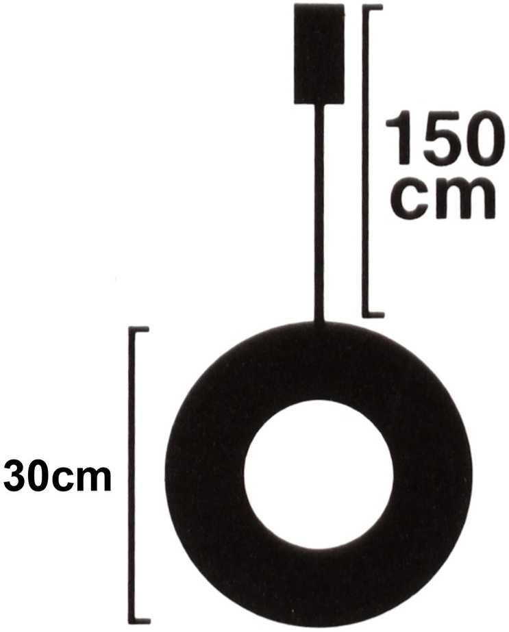 None Apšviestas kalėdų vainikas 30 cm su 20 LED