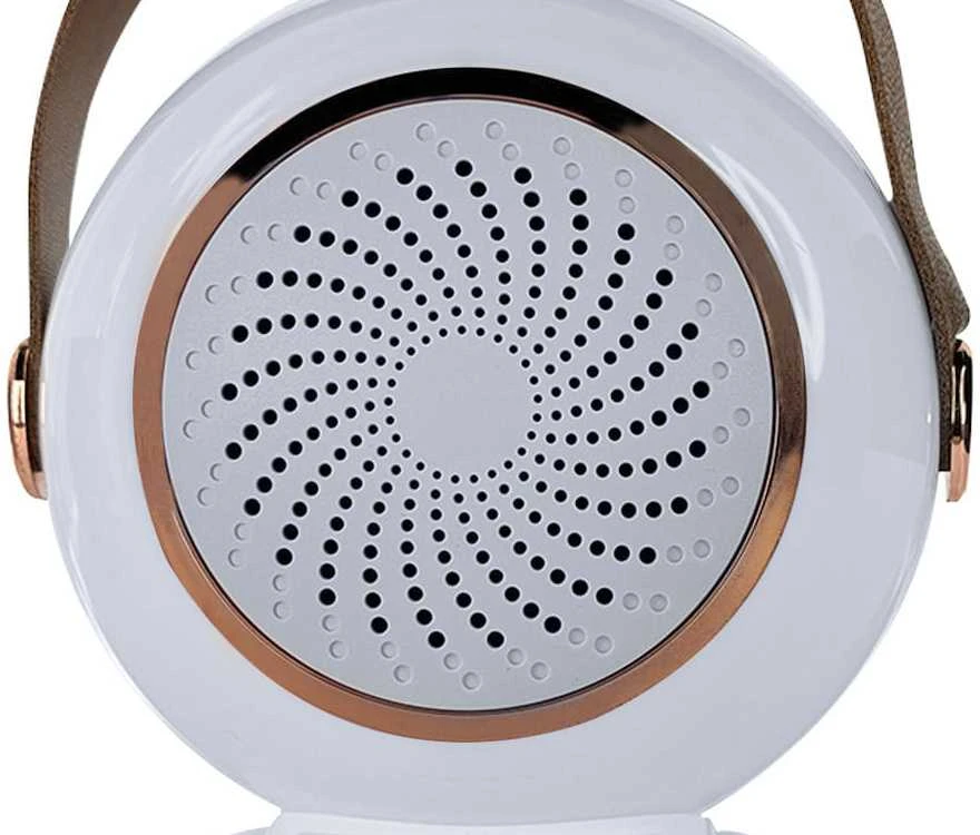 Belaidis karaoke garsiakalbis su Bluetooth ir 2 mikrofonais