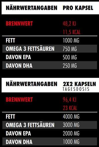 Big Zone Omega 3 Fury Trigliceridai 120 Kapsulių