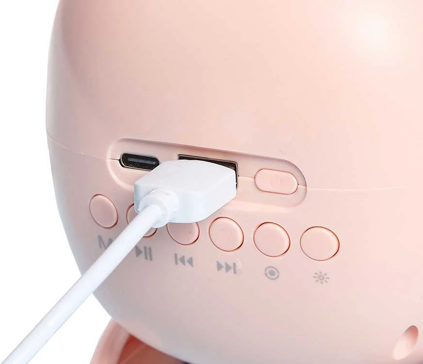 Bluetooth kolonėlė su mikrofonu F23A