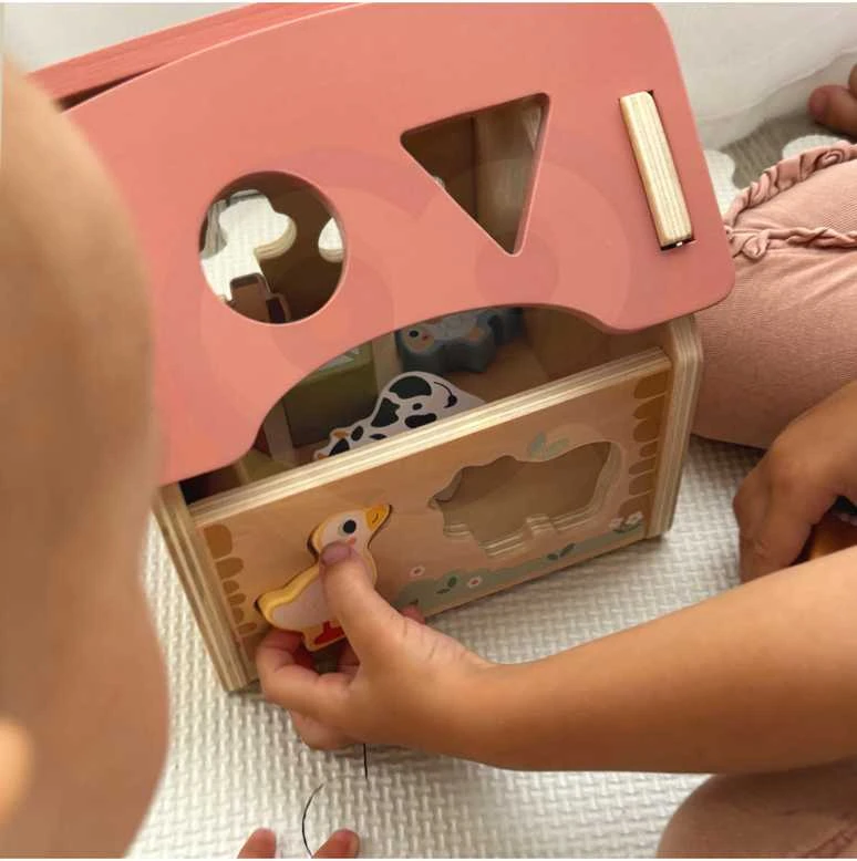 Dantų ratai sukuria savo mechanizmą „MasterKidz Montessori“