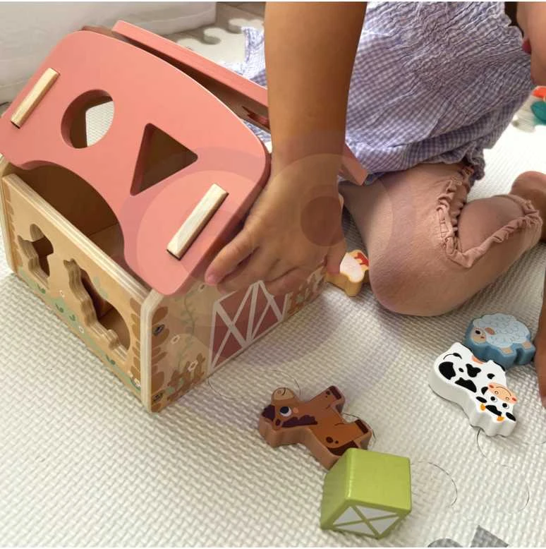 Dantų ratai sukuria savo mechanizmą „MasterKidz Montessori“