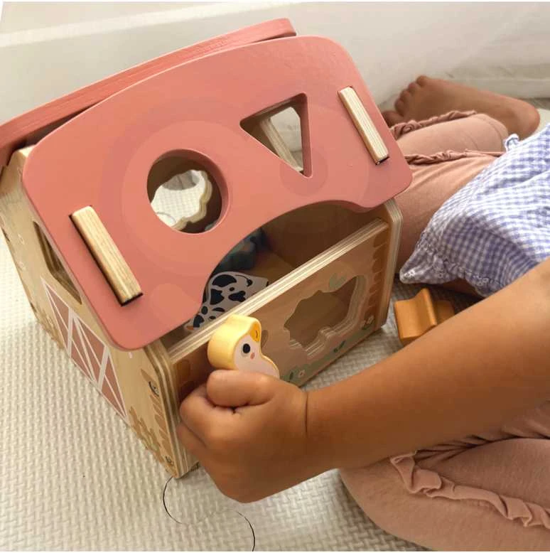 Dantų ratai sukuria savo mechanizmą „MasterKidz Montessori“