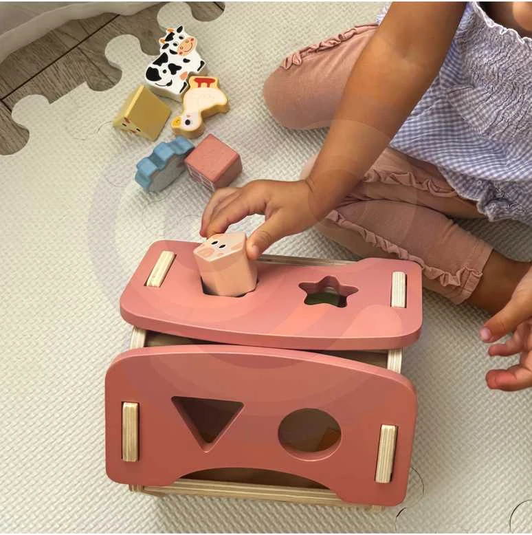 Dantų ratai sukuria savo mechanizmą „MasterKidz Montessori“