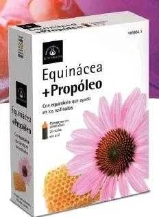 Maisto papildas Ežiuolė imunitetui El Natural Equinacea Propoleo 20 vnt