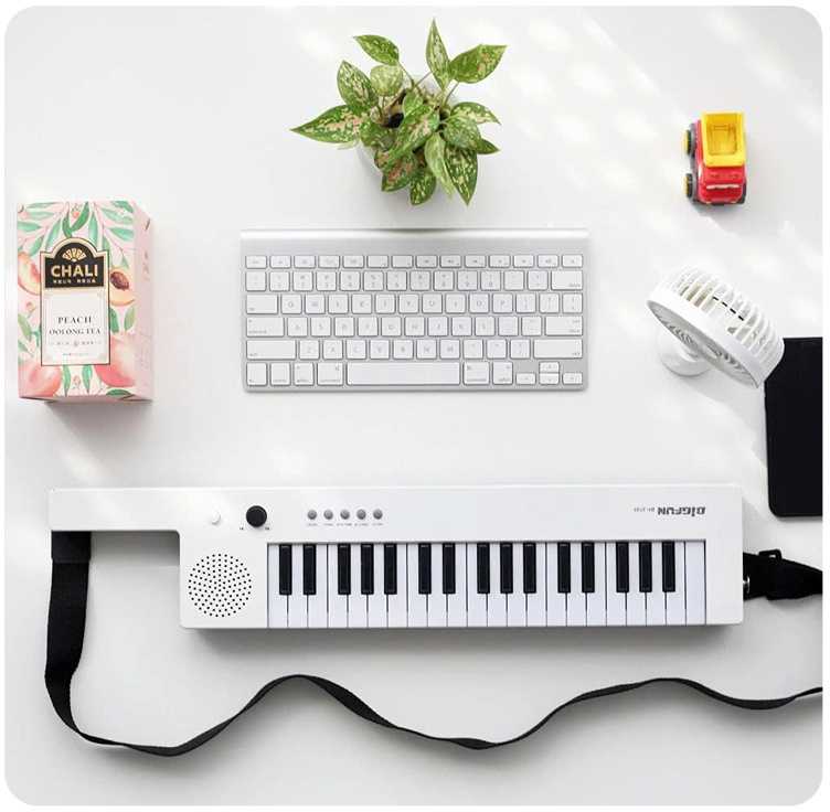 Jokomisiada Elektroniniai vargonai su rankena, muzikinis žaislas vaikams IN0172