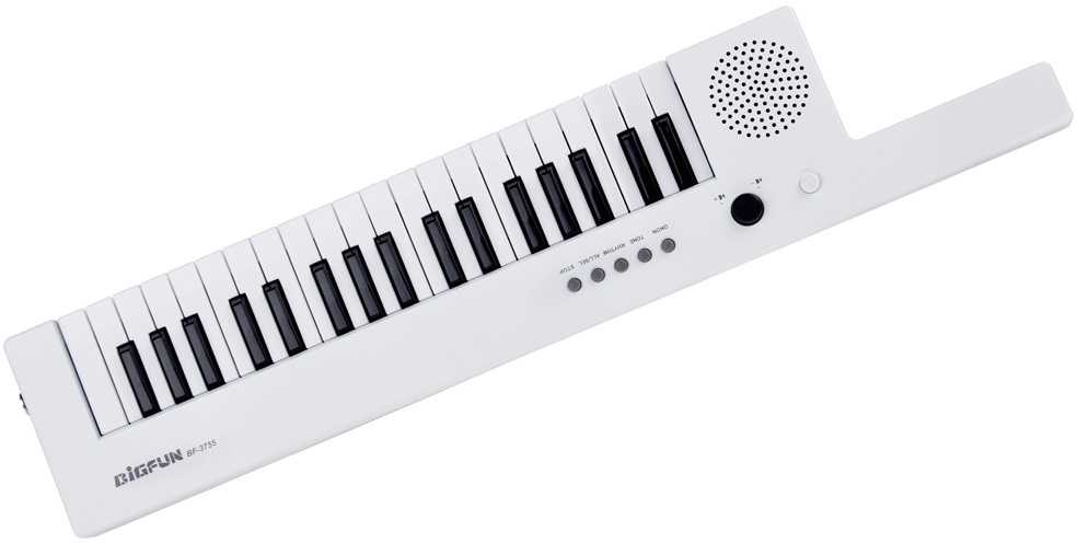 Jokomisiada Elektroniniai vargonai su rankena, muzikinis žaislas vaikams IN0172