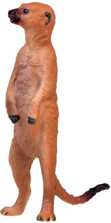 Figūrėlės gyvūnai dramblys meerkat raccoon 6pcs