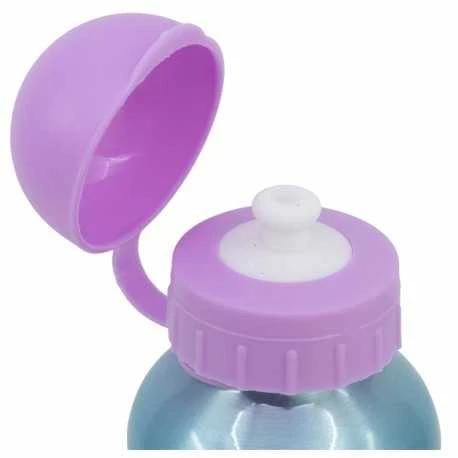 Stor „Gabby“ lėlių namelio aliuminio butelis 400 ml