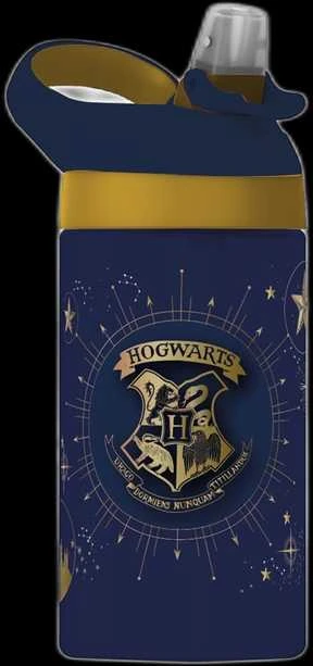 Warner Bros Discovery Hario Poterio gertuvė 430 ml