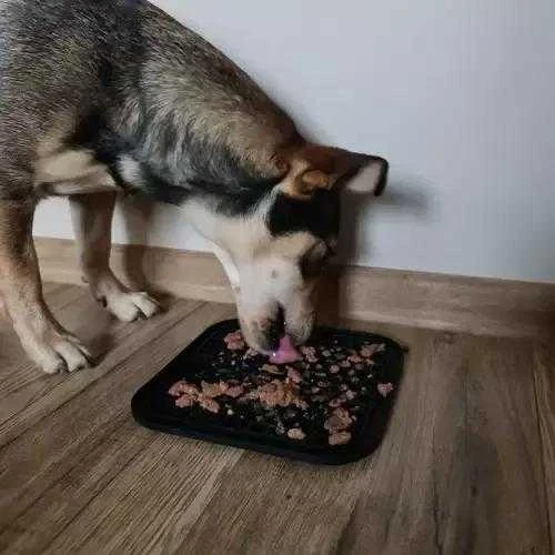 Purlov Šunų maisto laižymo kilimėlis