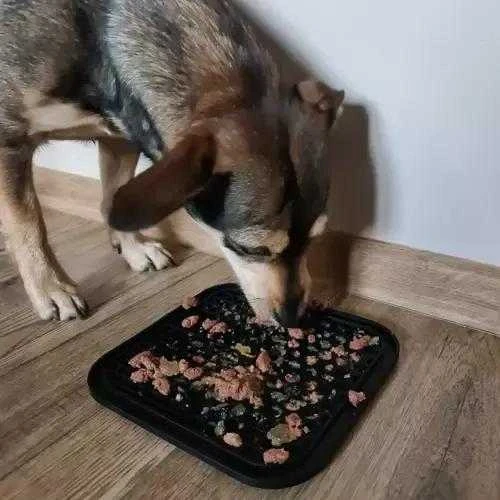 Purlov Šunų maisto laižymo kilimėlis
