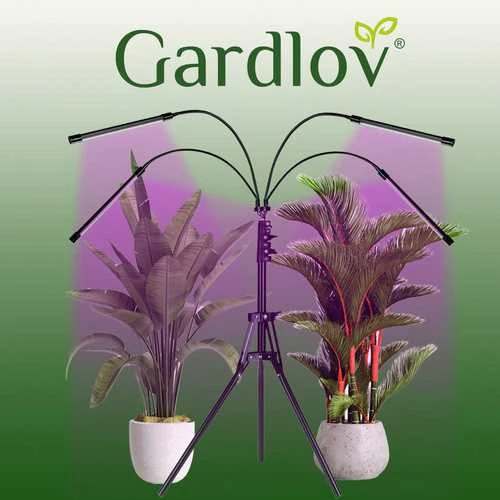 Lempa augalams Gardlov 19388