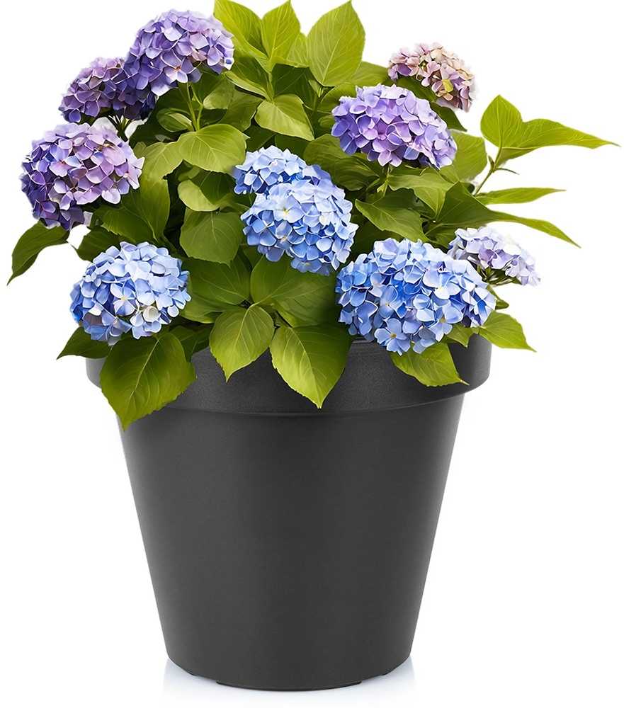 Mondex Juodas apvalus plastikinis gėlių vazonas 39 cm - Sodo vazonas