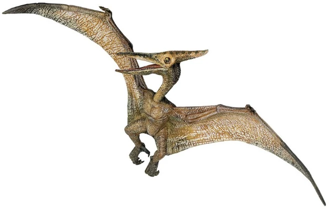 Kolekcionieriaus figūrėlės pteranodonas, papo