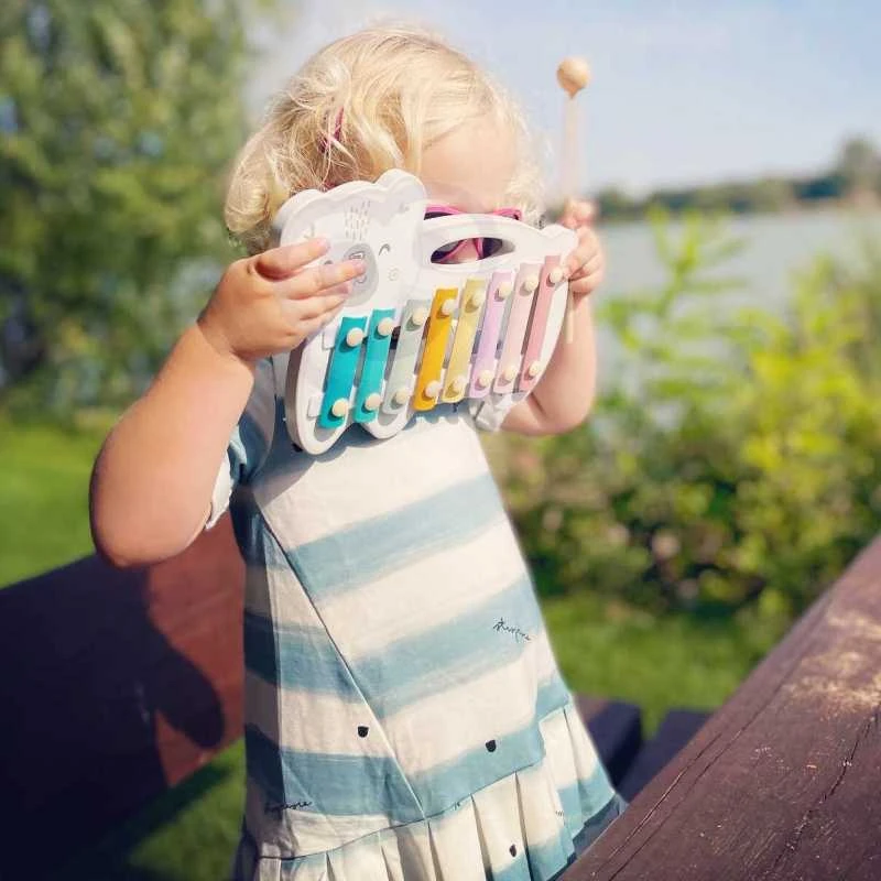 Medinis dulcimerio polinio meškiuko ksilofonas viga žaislai montessori