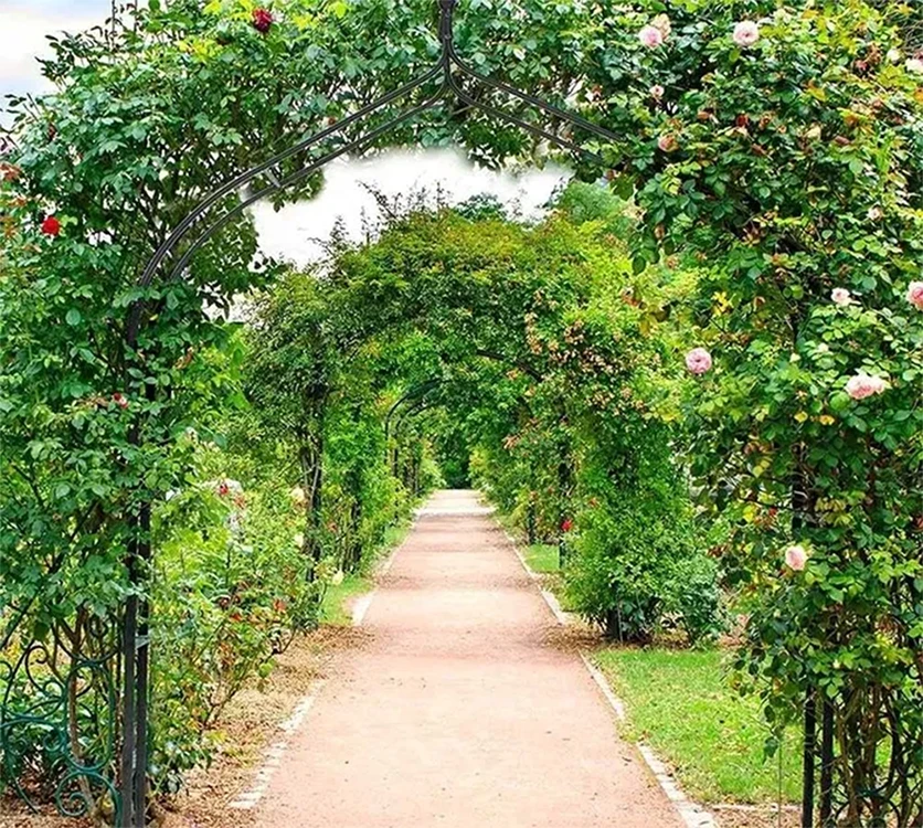 Metalinė pergola gėlėms ir vijokliniams augalams