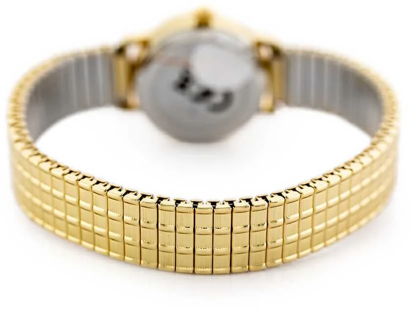 Laikrodis WOMEN'S WATCH PERFECT X197 (zp963a) - elastinė juosta