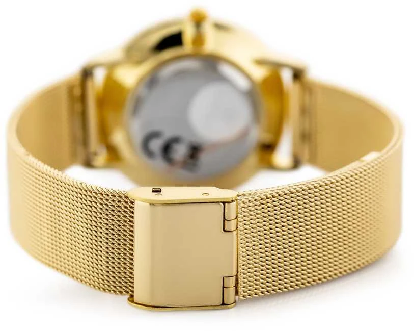 Laikrodis PERFECT F205 WOMEN'S WATCH (zp983d) + BOX