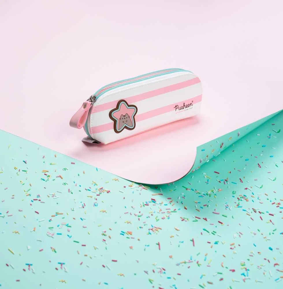 Pusheen pieštukų dėklas