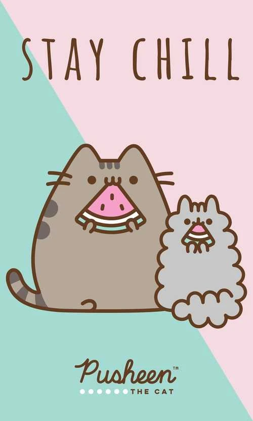 Pusheen rankšluostis 30x50cm