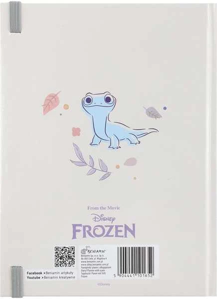 Dienoraštis su tušinuku Frozen