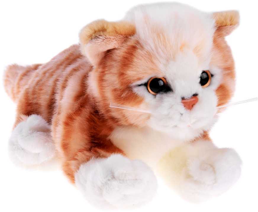 Beppe Pliušinis žaislas - oranžinė katė, 30 cm