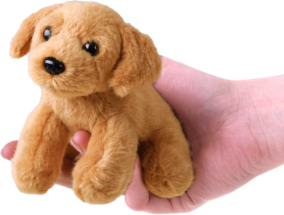 Beppe Talismanas pliušinis šuo sėdi 13cm