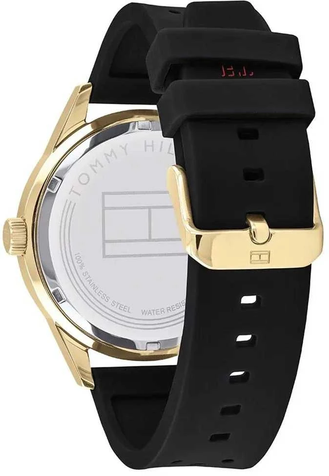 VYRIŠKAS LAIKRODIS TOMMY HILFIGER AUSTIN (zf017a)