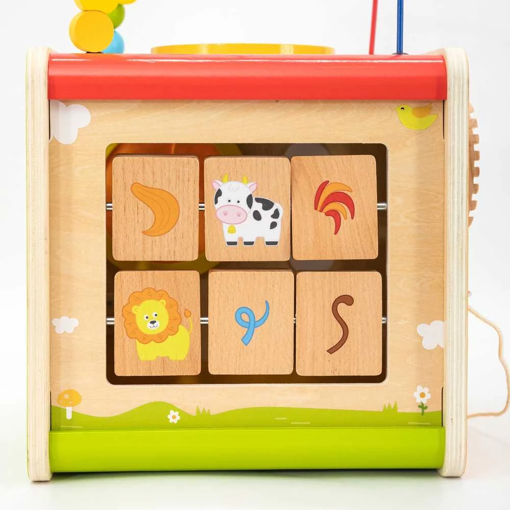 Viga Toys Viga edukacinė medinė kubelių užduočių dėžė 5in1