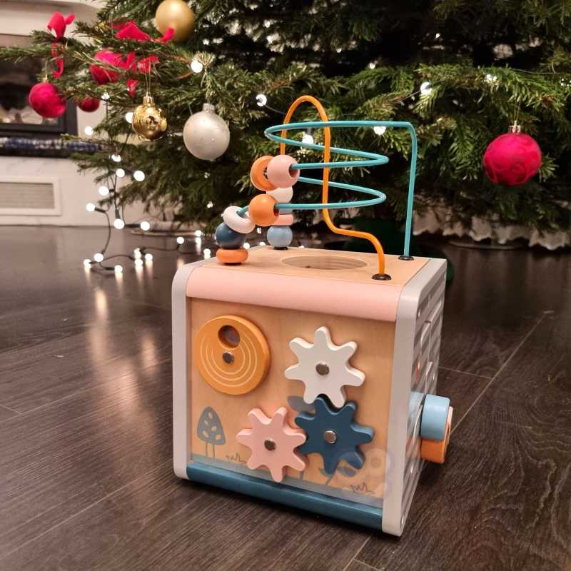 Viga Toys Lavinantis Medinis Žaislas VIGA Polar 5w1