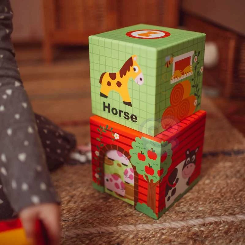 WOOPIE Žaislas Układanka Kostki 10 el. su Figūrėlėmis