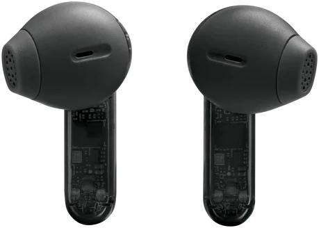 Ausinės JBL Tune Flex 2 NC tamsinta juoda