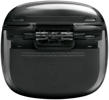 Ausinės JBL Tune Flex 2 NC tamsinta juoda