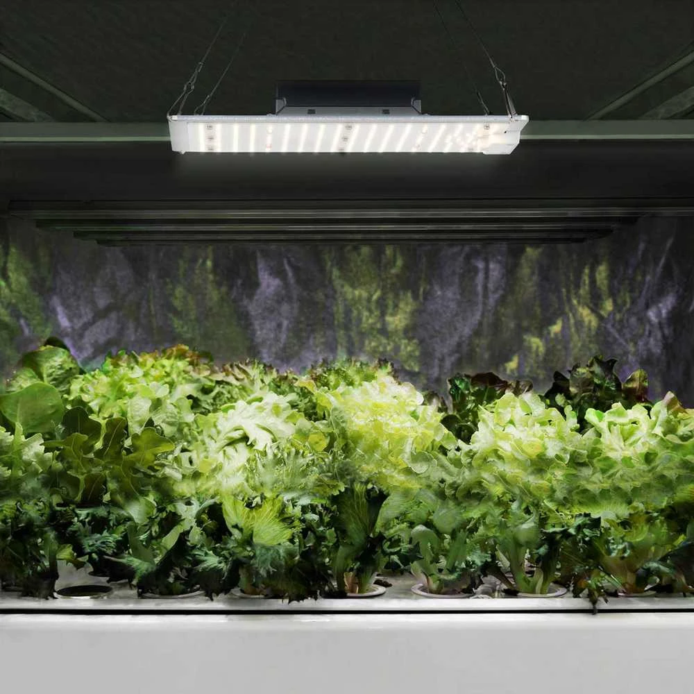 Hillvert Augalų augimo lempa viso spektro 30 x 24 cm 234 LED 110 W sidabrinė